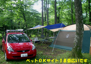 728tent1